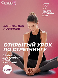 Мастер-класс по Стретчингу