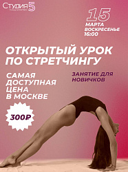 Мастер-класс по Стретчингу